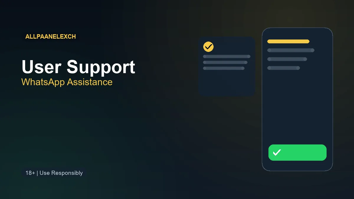 Allpaanel user support and WhatsApp assistance illustration
